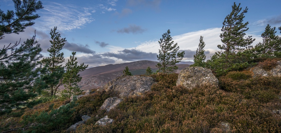 Spey Valley & The Cairngorms