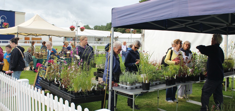 Ayr & District Flower Show