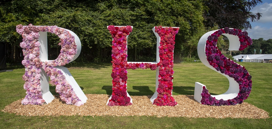 RHS Wentworth Woodhouse Flower Show